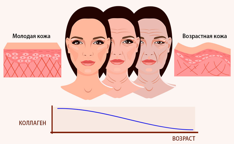 Страение кожи лица инфографика фото