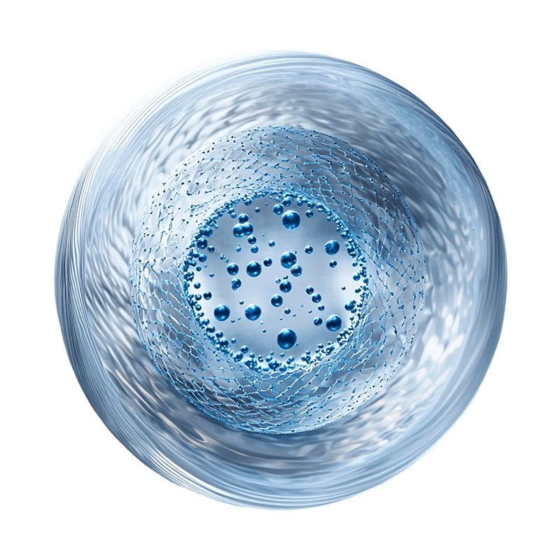 липосома липосома